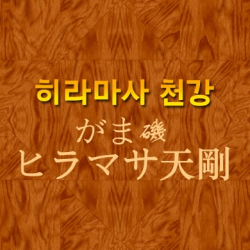 히라마사천강(天剛)원투H50