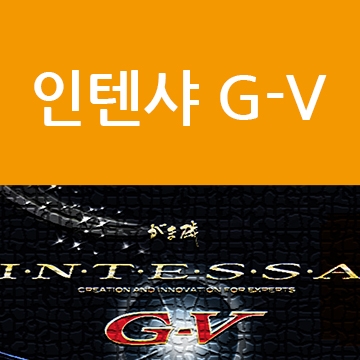 인텐샤 G-V (G-5) 3호 5.3m